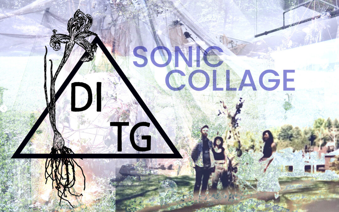 PERFORMANCE: Sonic Collage with Drones in the Garden