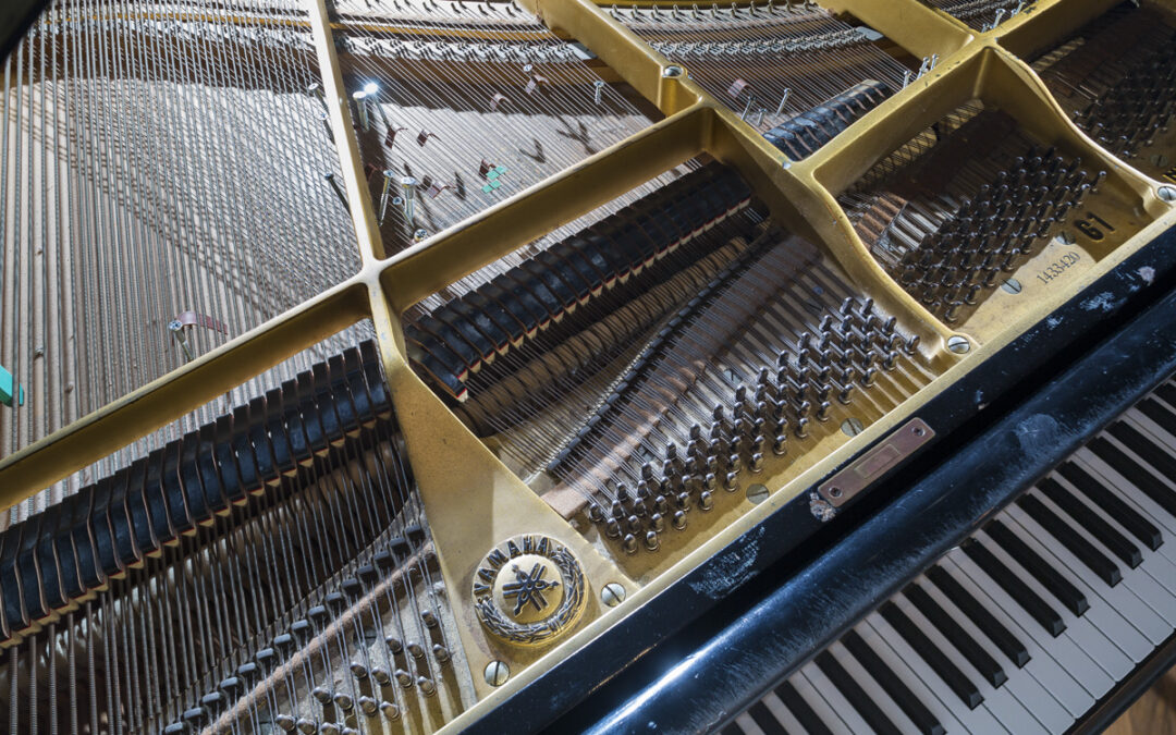 AMY WILLIAMS – JOHN CAGE’S SONATAS AND INTERLUDES