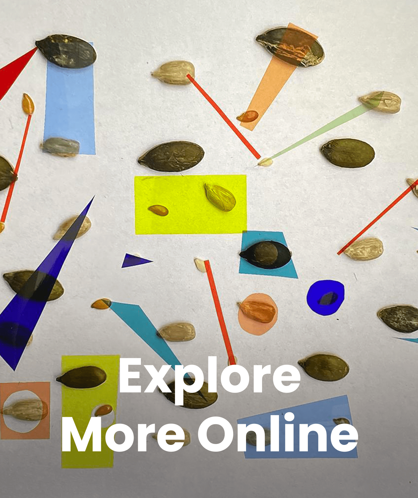 Explore More Online