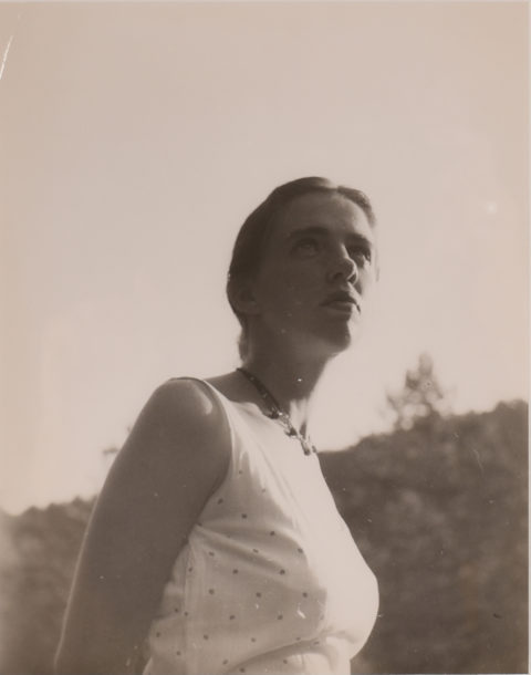 Dorothea Rockburne - Black Mountain College Museum + Arts Center
