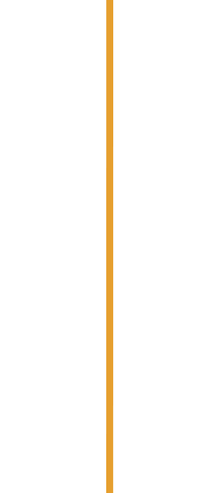 Timeline-solid-line