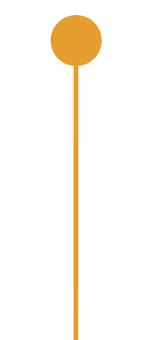Timeline-top1
