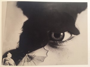 from David Raymond Collection