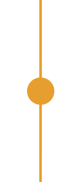 timeline-center-line1